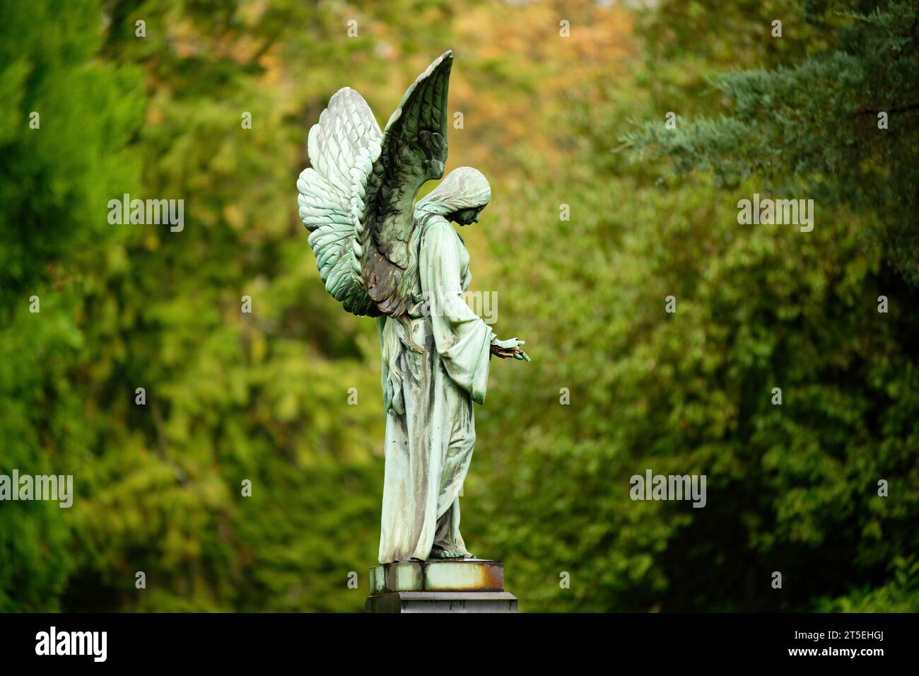 un antiguo ángel histórico con alas extendidas se encuentra en un pedestal frente de un fondo borroso en el cementerio de melaten en colonia Foto de stock