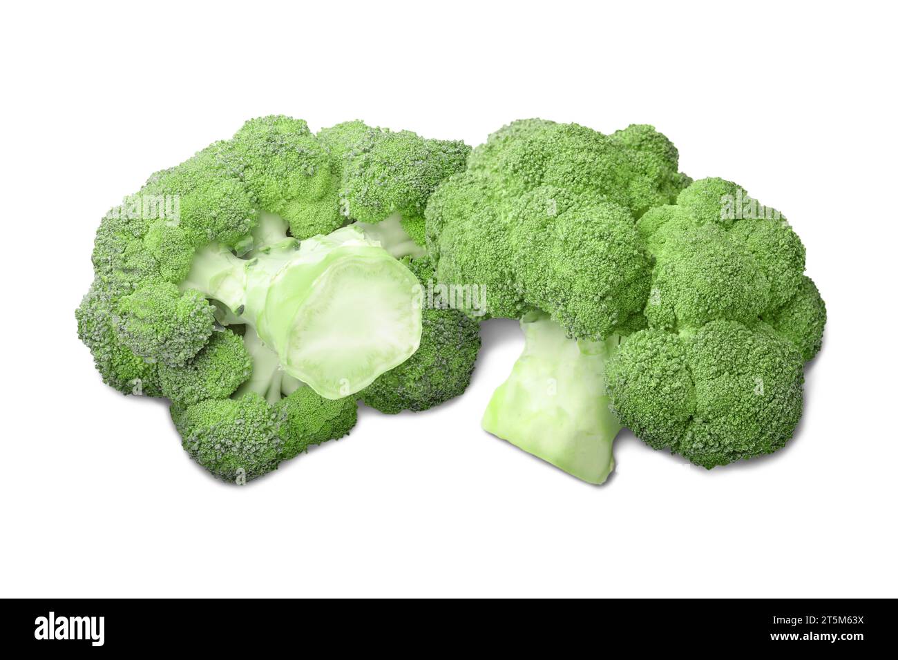 Brócoli verde fresco sobre fondo blanco. Planta comestible Foto de stock