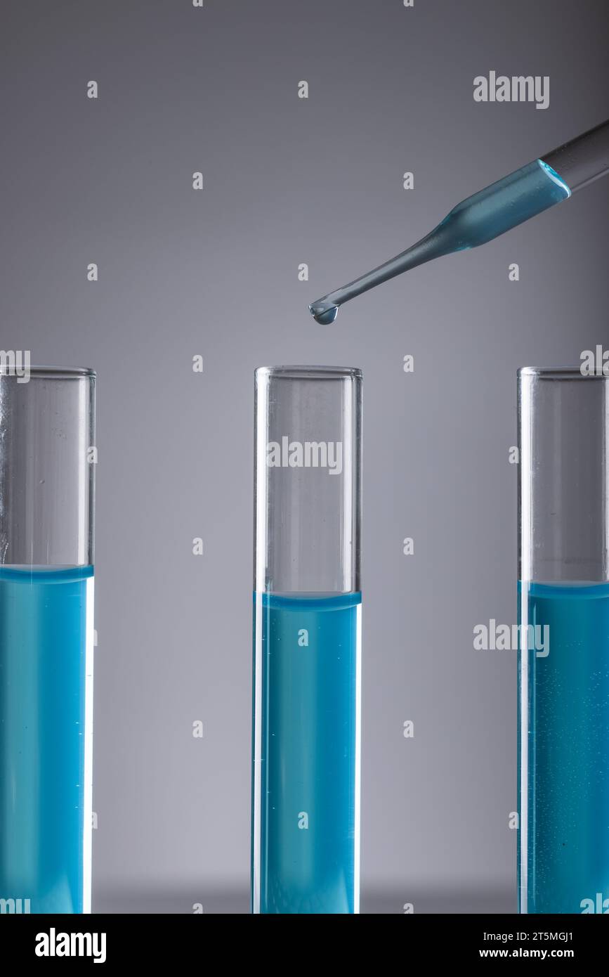 Imagen vertical de tubos de prueba de laboratorio con líquido azul, pipeta y espacio de copia sobre fondo gris Foto de stock