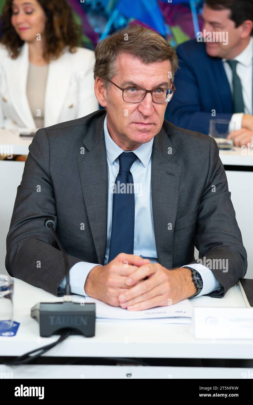 El presidente del Partido Popular, Alberto Nuñez Feijoo, durante la reunión de la Junta Directiva Nacional, en la sede de Génova, el pasado noviembre Foto de stock