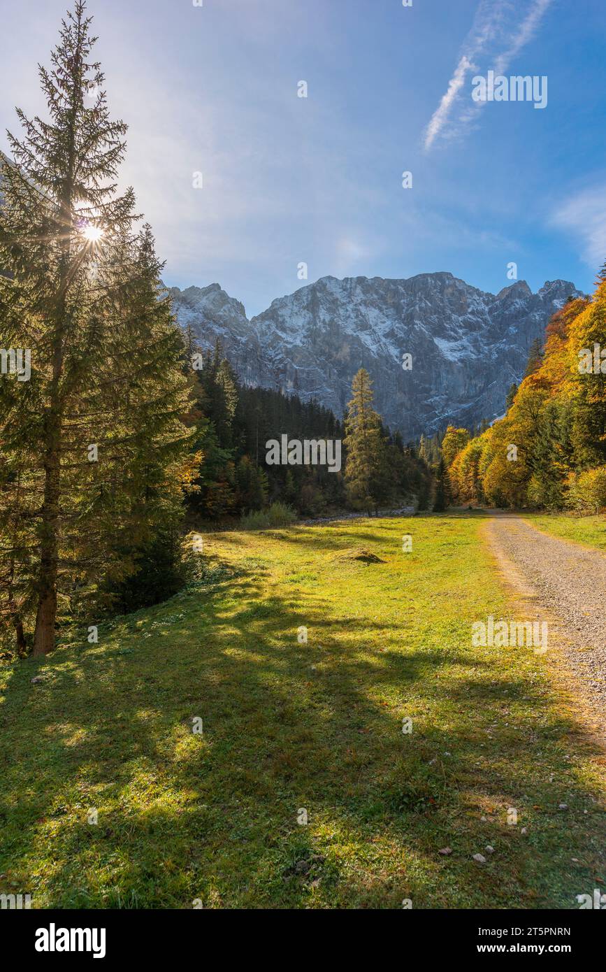 Ruta de senderismo a través del foilage de otoño, temporada de otoño en el estrecho Engtal o Eng Valley, Hinterriss, Tirol, Austria, Europa Foto de stock