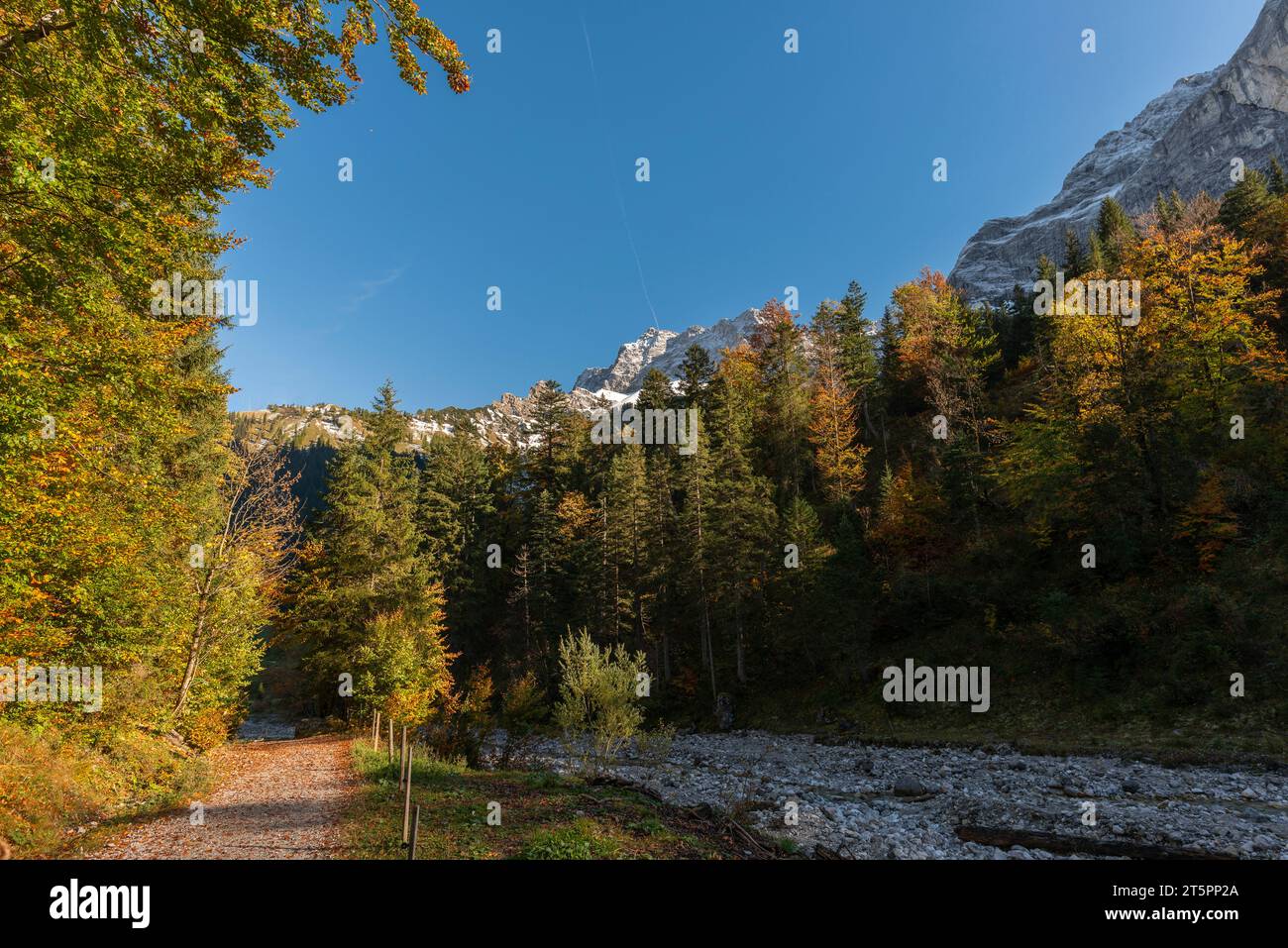 Vistas a lo largo y en el foilage de otoño, temporada de otoño en el estrecho Engtal o Eng Valley, Hinterriss, Tirol, Austria, Europa Foto de stock