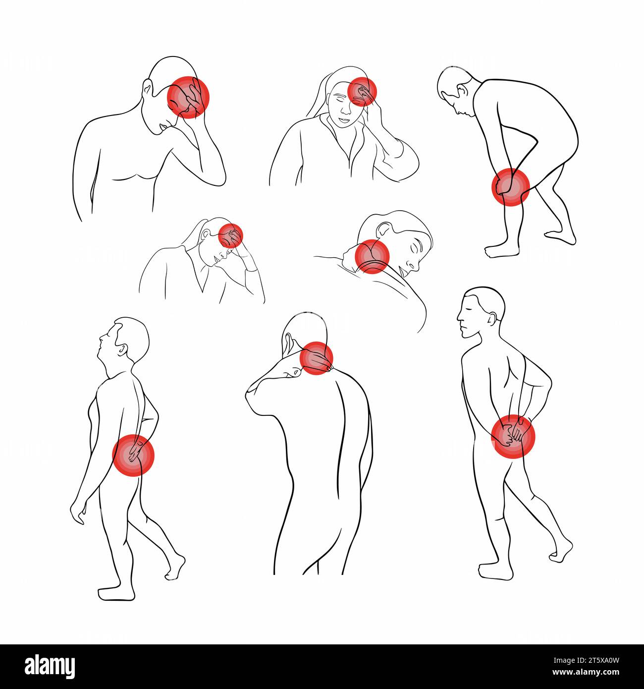 Vector aislado ilustración de dolor de espalda y articulaciones. Dolor