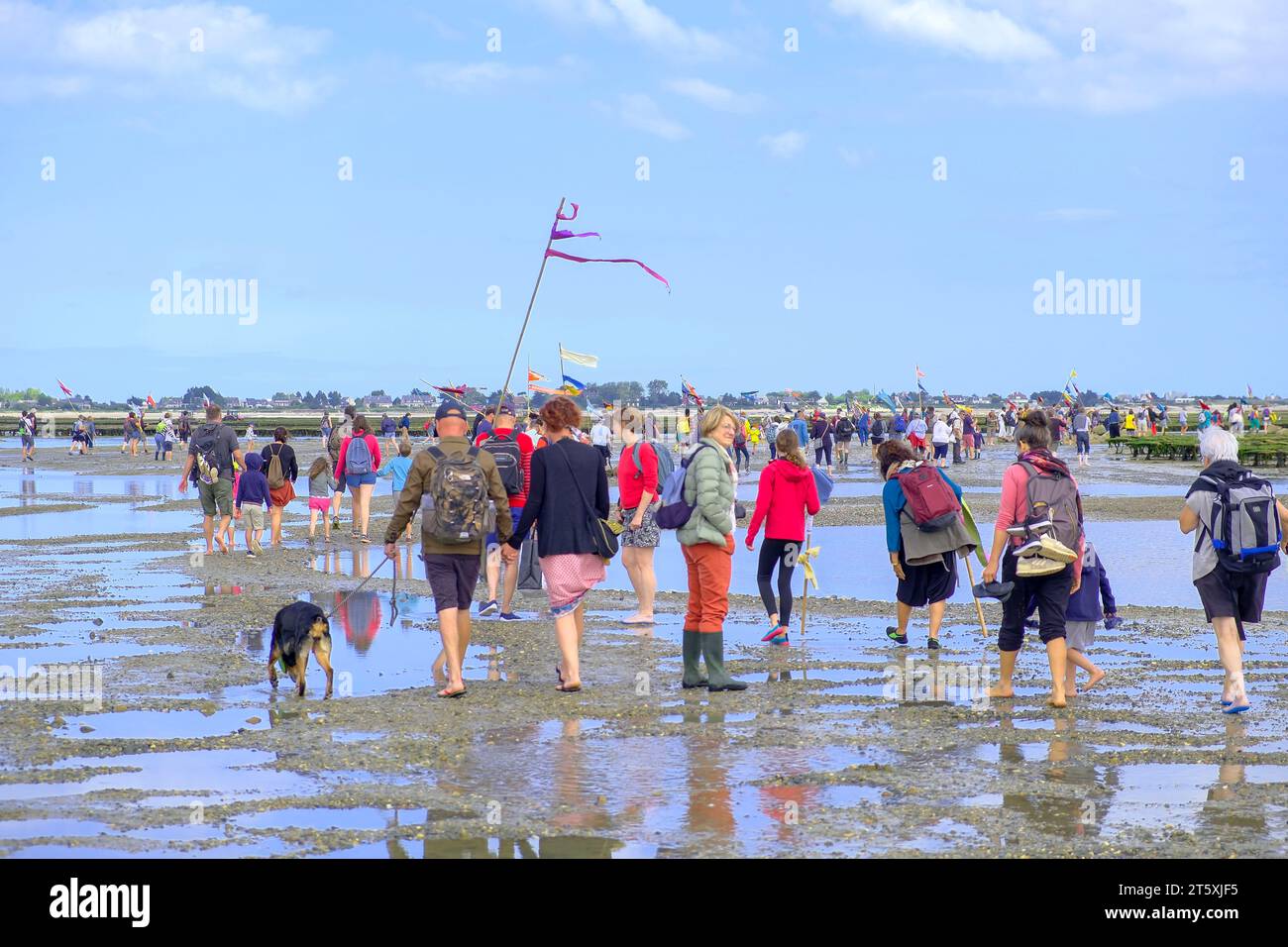 Frankreich, Saint-Vaast-la-Hougue, 30.08.2023: Einheimische und Touristinnen haben sich mit bunten Fahnen und Wimpeln am Strand auf den Weg gemacht zu Foto de stock