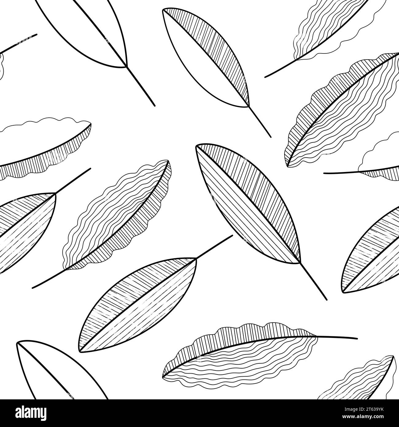 Hojas Seamless Texture Sketch Abstracto Negro Blanco Foto de stock