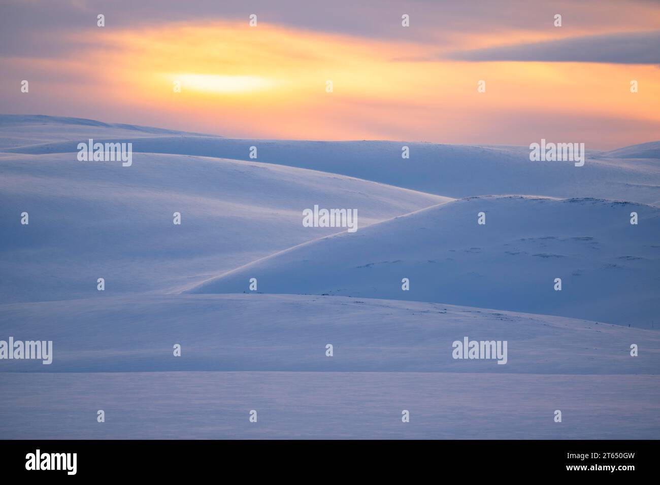 Paisaje ártico en invierno, paisaje nevado caído, península de Varanger, Finnmark, norte de Noruega, Noruega Foto de stock