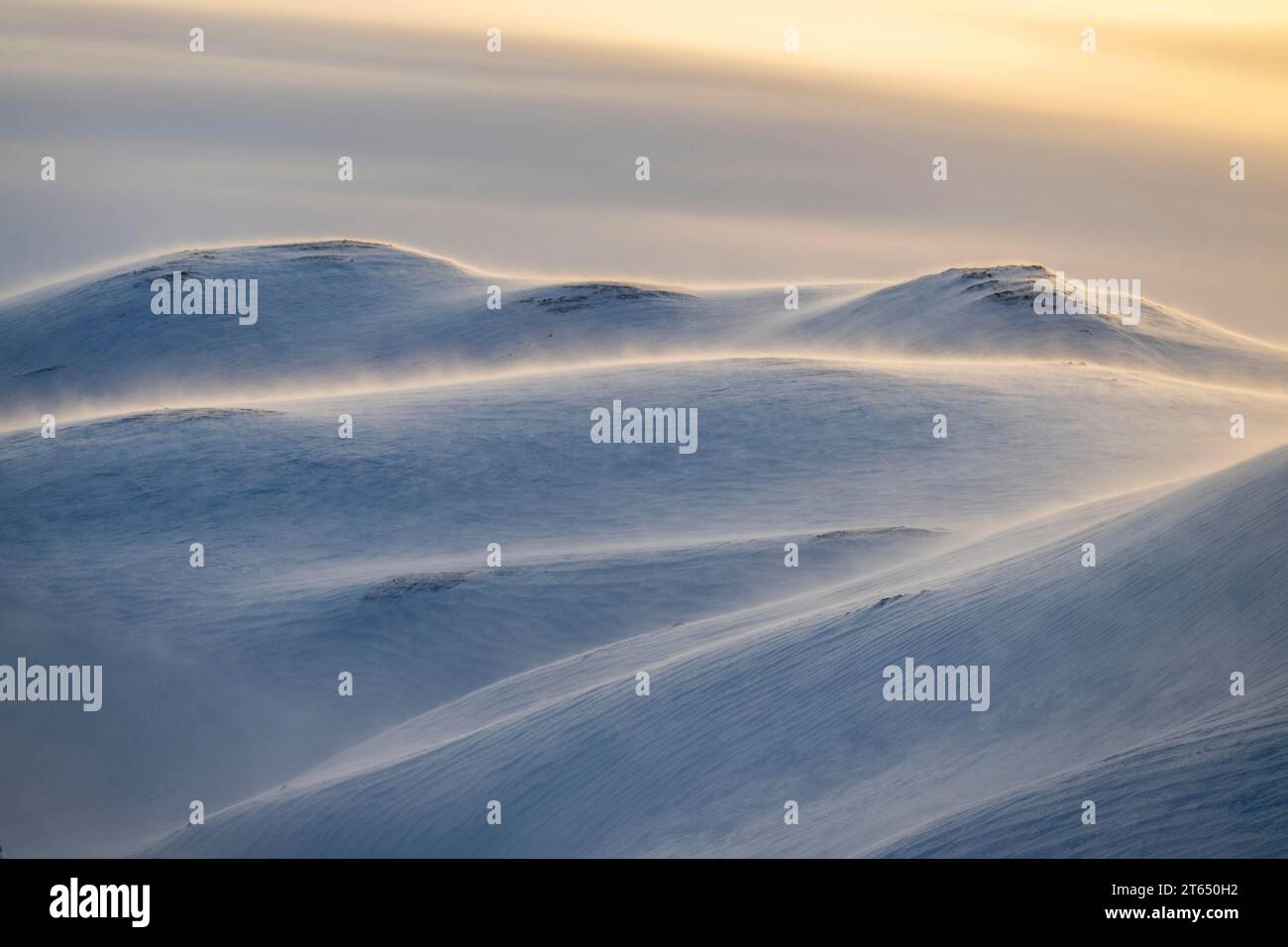 Paisaje ártico en invierno, paisaje nevado caído, península de Varanger, Finnmark, norte de Noruega, Noruega Foto de stock