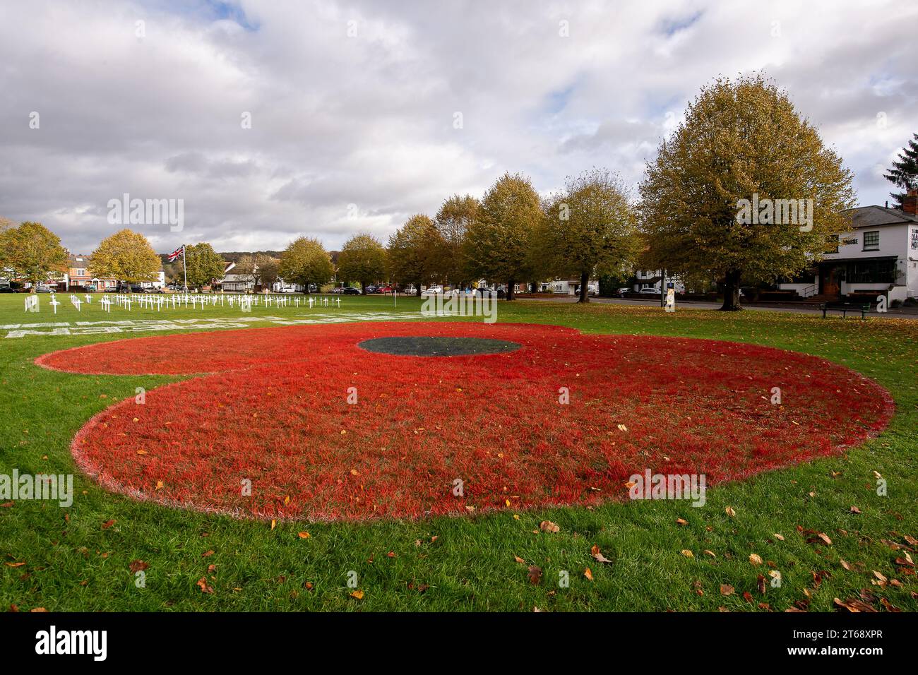 Wooburn Green, Reino Unido. 9 de noviembre de 2023. Un hermoso y enorme