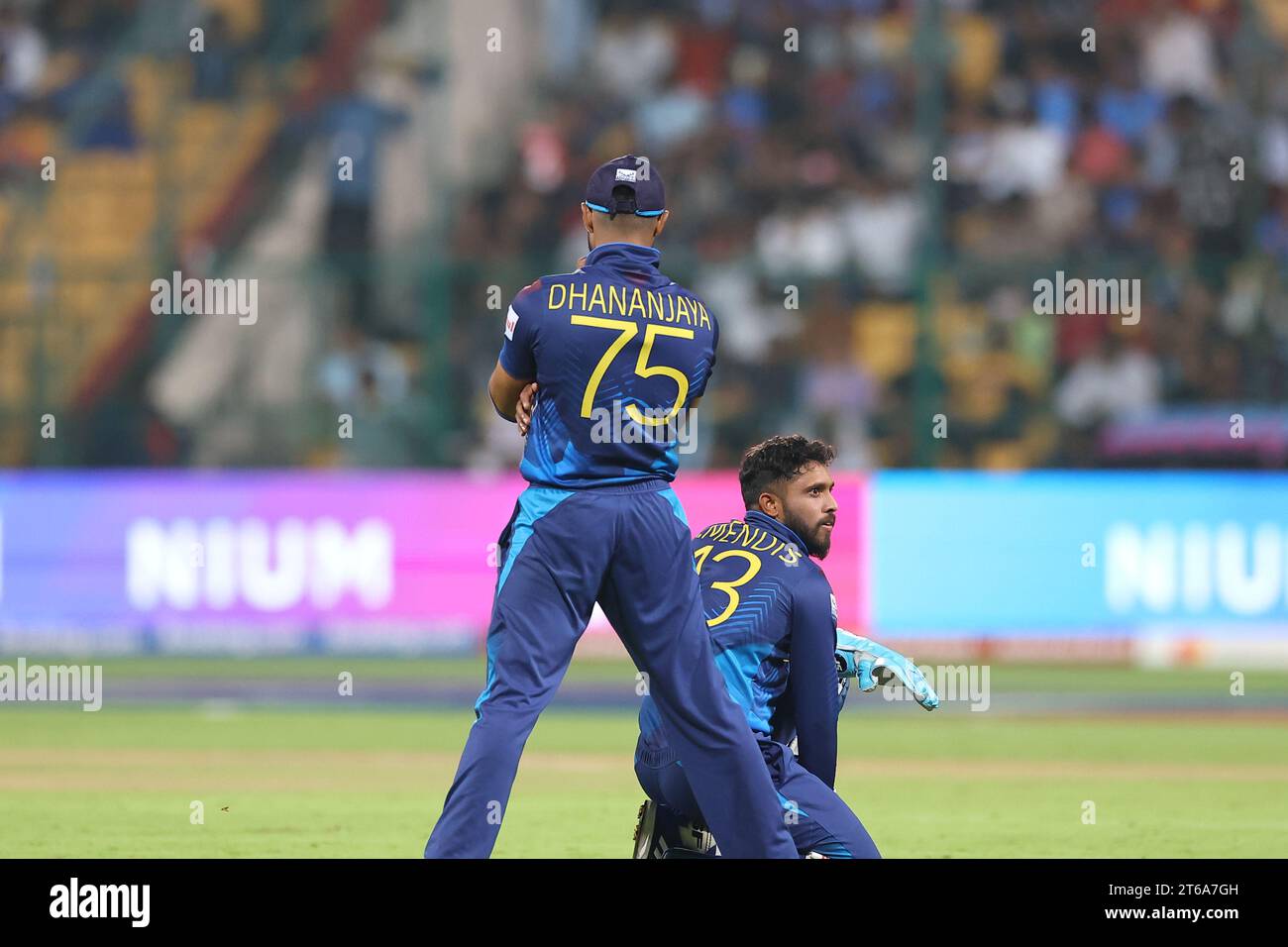 Bangalore, India. 09 de noviembre de 2023. ICC Masculino Cricket World Cup INDIA 2023: 41er partido de ICC Cricket World Cup: Nueva Zelanda V Srilanka en Chinnasamy Stadium, Bangalore. NZ ganó por 5 wickets crédito: Seshadri SUKUMAR/Alamy Live News Foto de stock