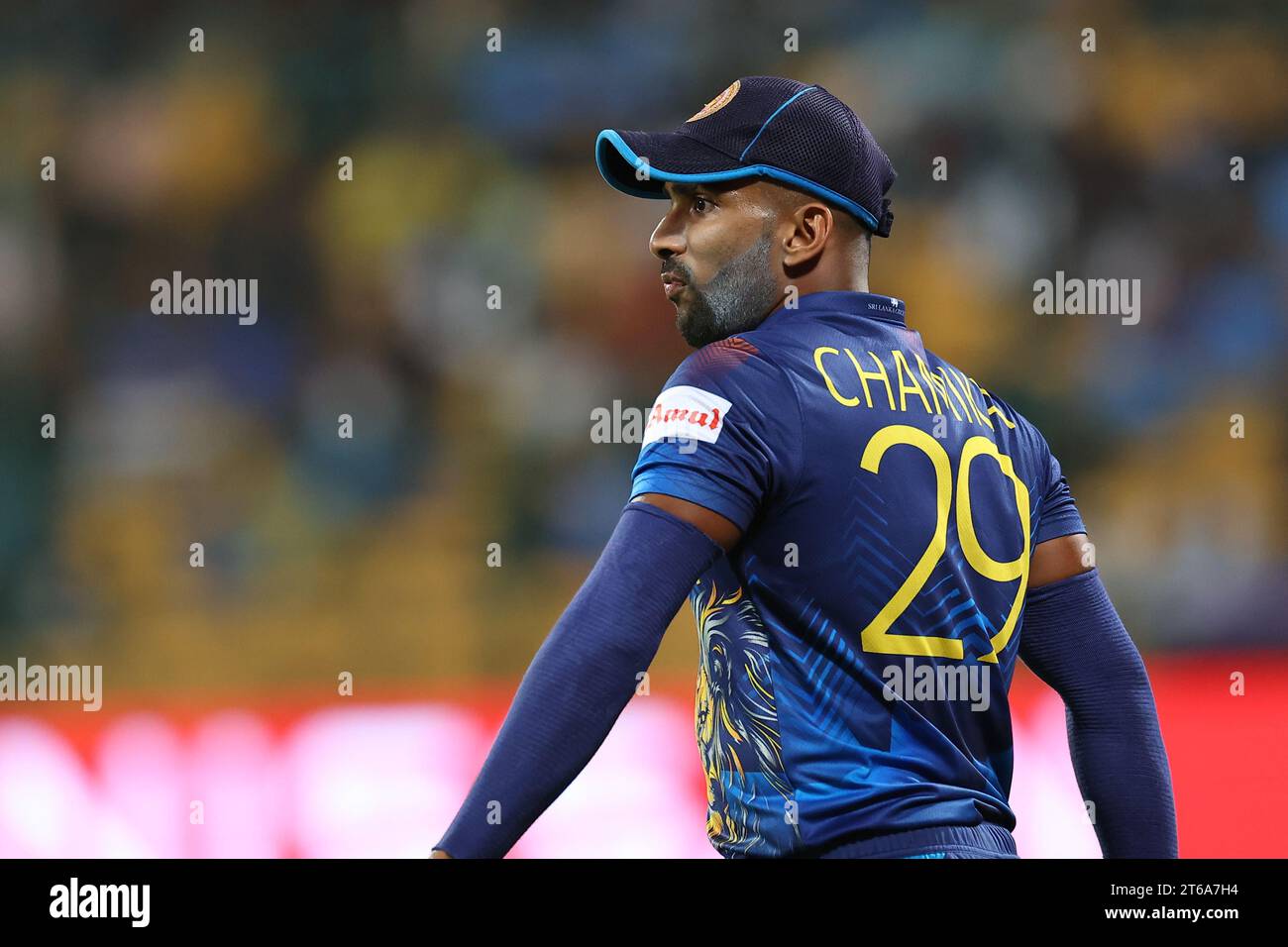 Bangalore, India. 09 de noviembre de 2023. ICC Masculino Cricket World Cup INDIA 2023: 41er partido de ICC Cricket World Cup: Nueva Zelanda V Srilanka en Chinnasamy Stadium, Bangalore. NZ ganó por 5 wickets crédito: Seshadri SUKUMAR/Alamy Live News Foto de stock