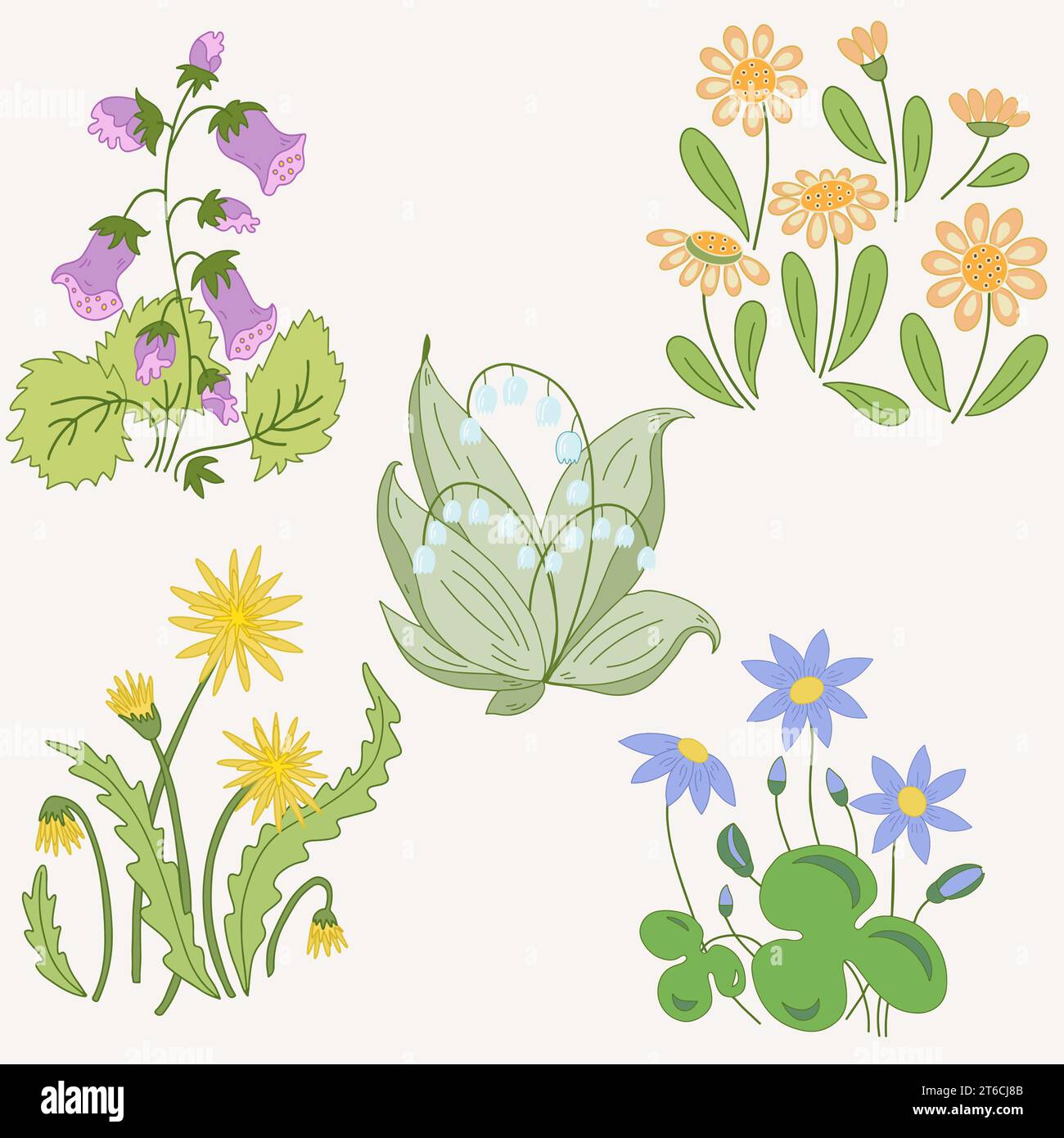 Flores silvestres aisladas sobre fondo blanco. Margarita, lirio-del-valle, cardo mariano de campo, hepatica. Ilustración del Vector