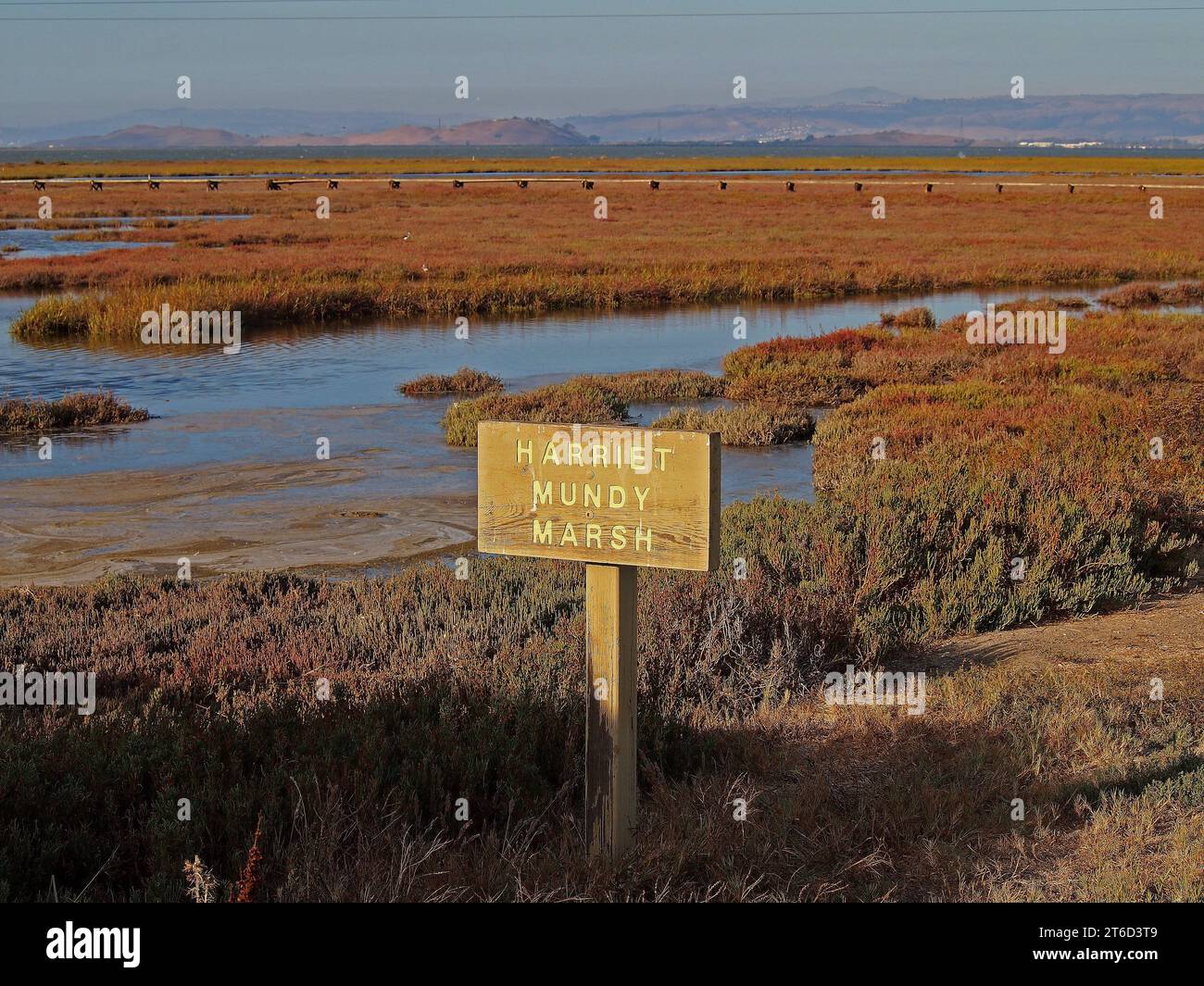 Palo Alto Baylands Preserve, Harriet Bundy Marsh, a lo largo de la Bahía de San Francisco, California Foto de stock