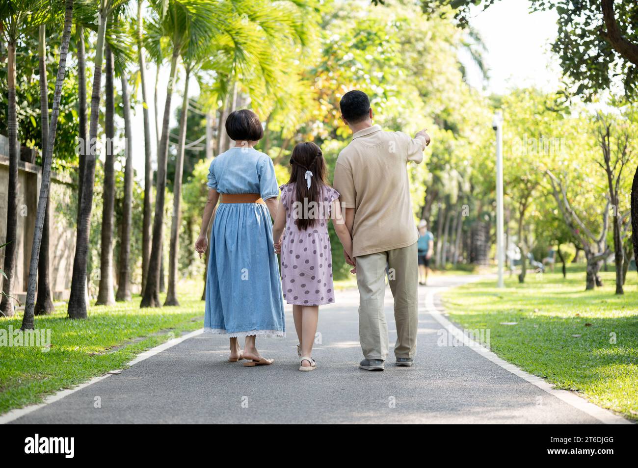 Imagen de visión trasera de abuelos cariñosos están sosteniendo las manos de su nieta mientras caminan juntos en el parque verde. momentos tiernos, familia Foto de stock