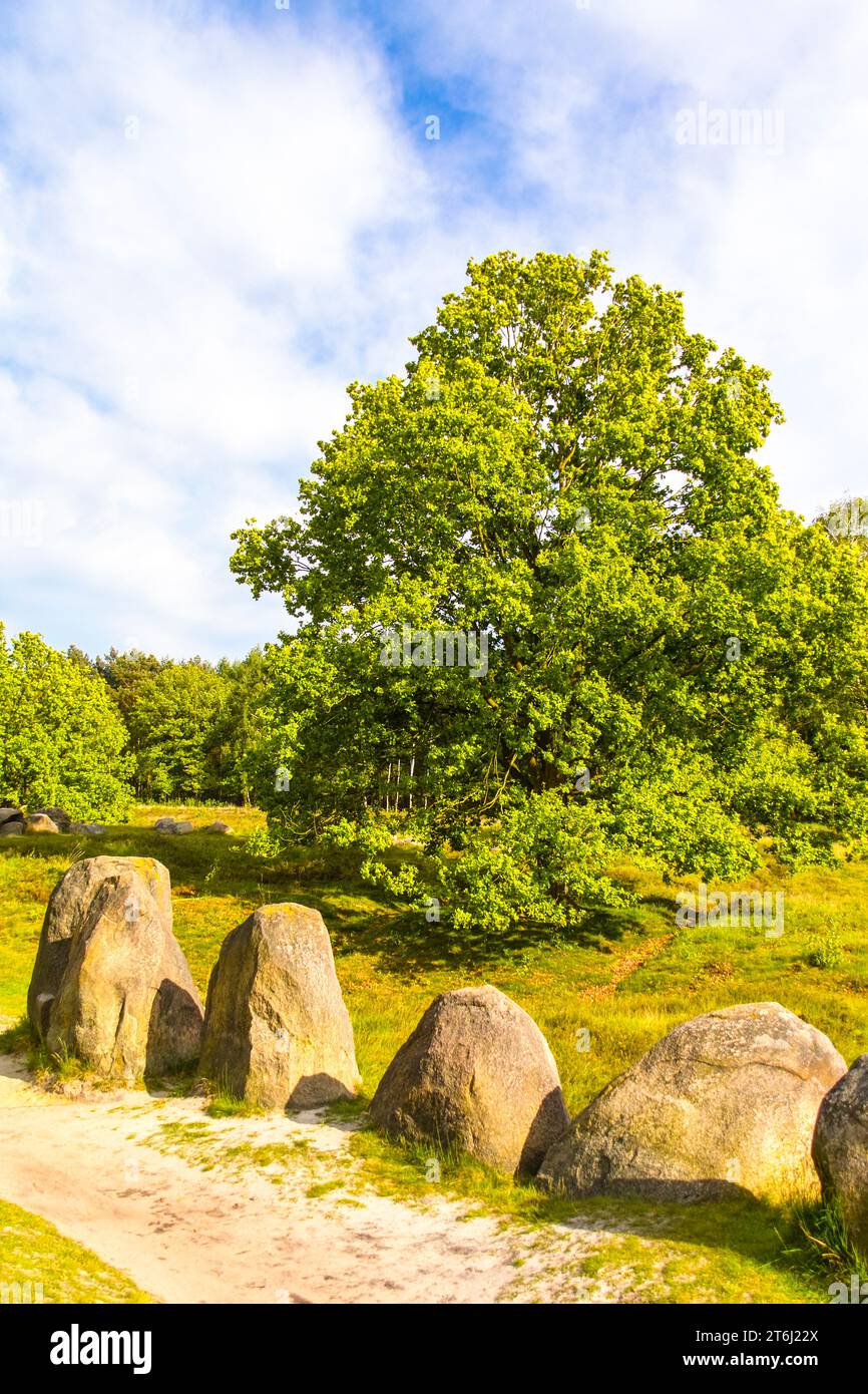Sitio de culto megalítico 'Glaner Braut' de la Edad de Piedra cerca de Dötlingen en el Parque Natural Wildeshauser Geest. Foto de stock