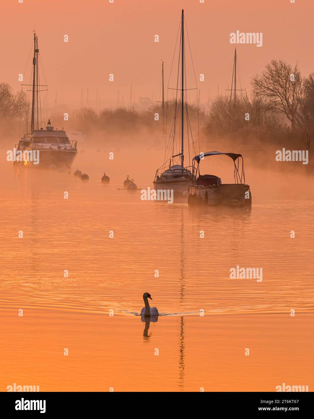 En wareham fotografías e imágenes de alta resolución Alamy