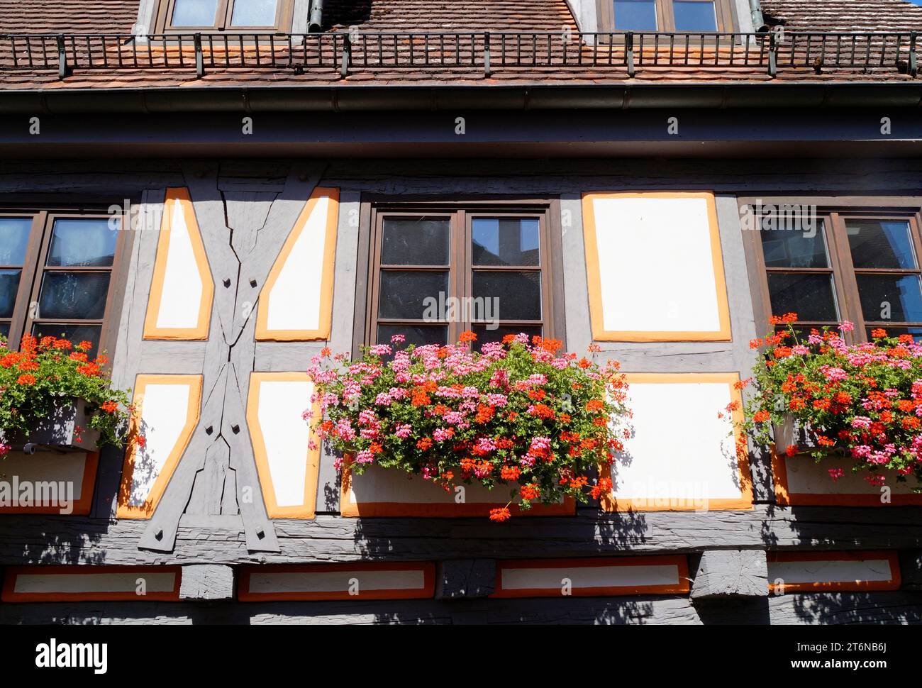 Hermosa casa blanca histórica alemana de entramado de madera tradicional con geranios rojos iluminados por el sol en la ventana (Ulm, Alemania) Foto de stock
