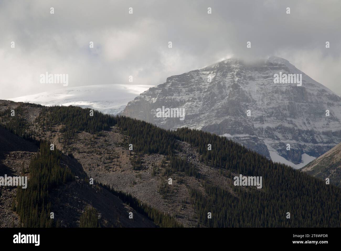 Vista desde el Glacier Skywalk, Parque Nacional Jasper, Jasper, Alberta, Canadá Foto de stock