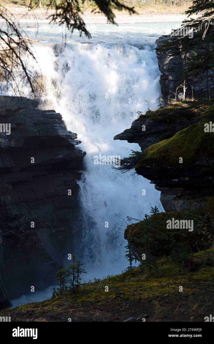 Athabasca Falls, el Parque Nacional de Jasper, Alberta, Canadá Foto de stock
