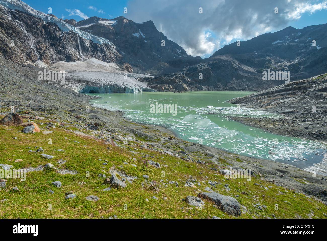 Glaciar alpino en retroceso, glaciar circo con cascada que se rompe en el lago glacial, rodeado de prado verde alfombrado con flores silvestres de verano Foto de stock