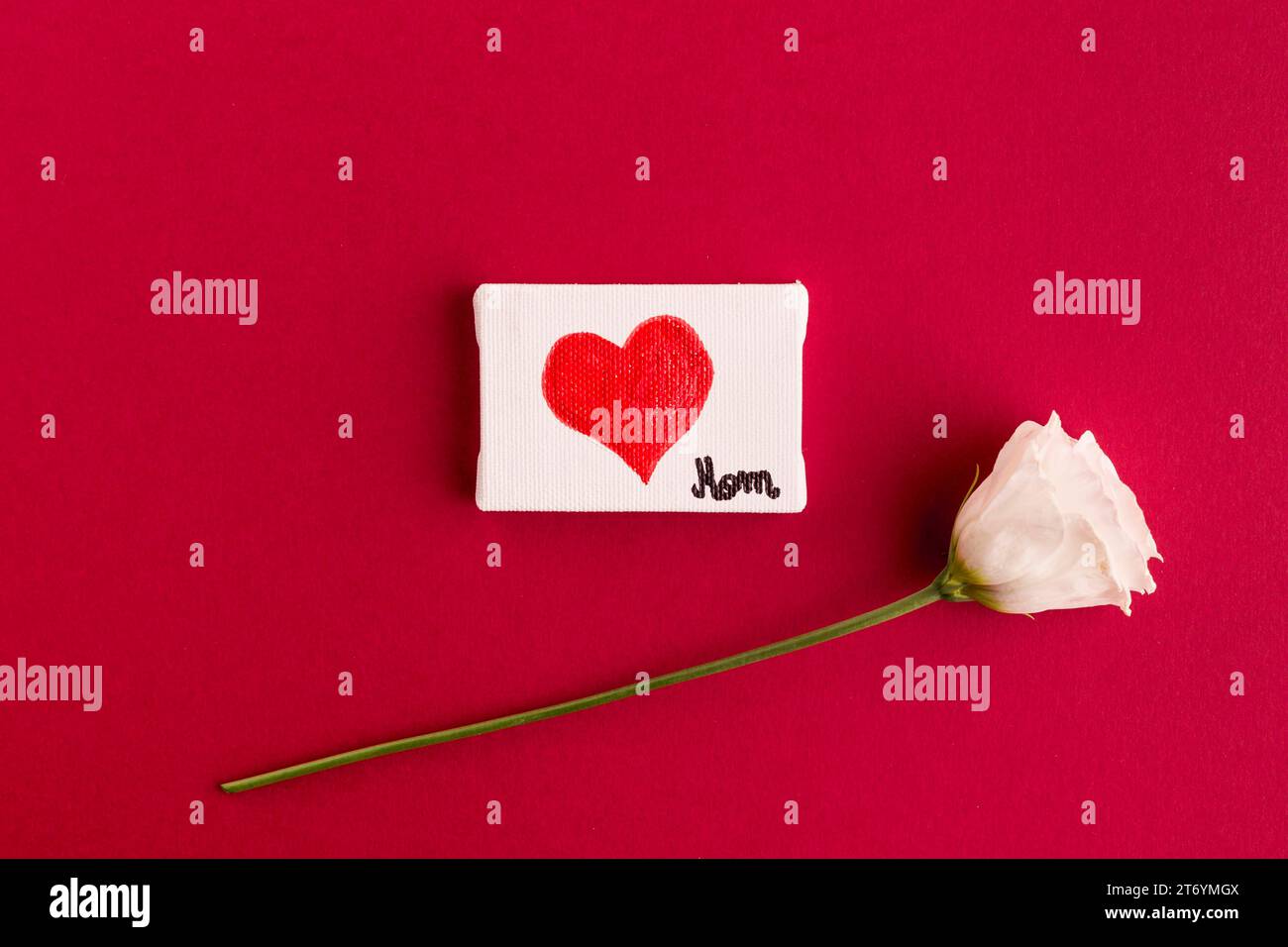 Mamá título corazón de papel cerca de la flor Foto de stock