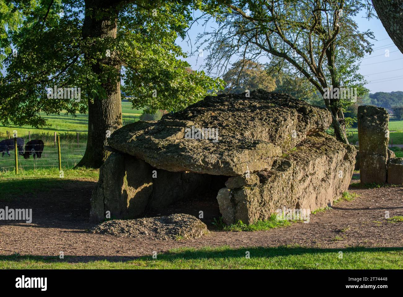 Gran Dolmen de Wéris, tumba de galería megalítica / tumba campanada cerca de Durbuy en verano, provincia de Luxemburgo, Ardenas belgas, Valonia, Bélgica Foto de stock
