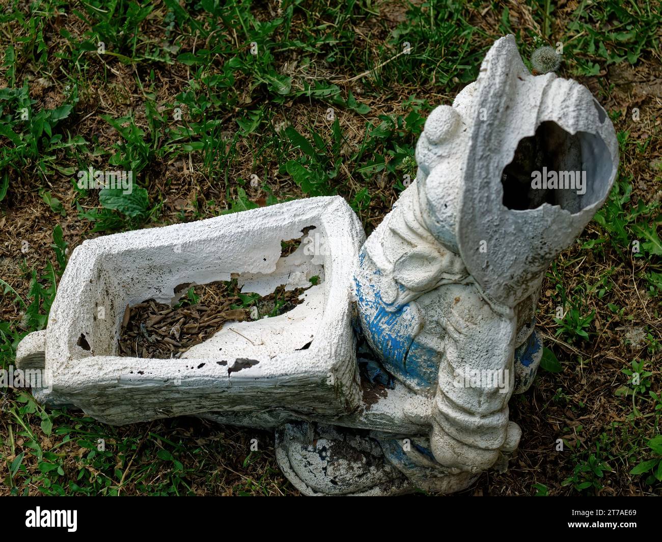 Antigua figura de gnomo de jardín roto, en el jardín Foto de stock