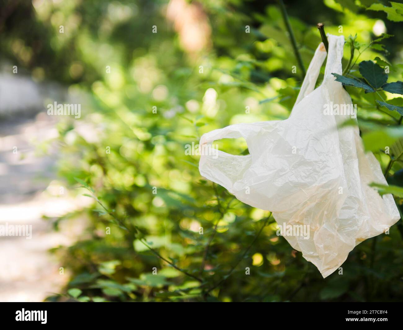 Bolsa de plástico colgando rama de árbol al aire libre Foto de stock