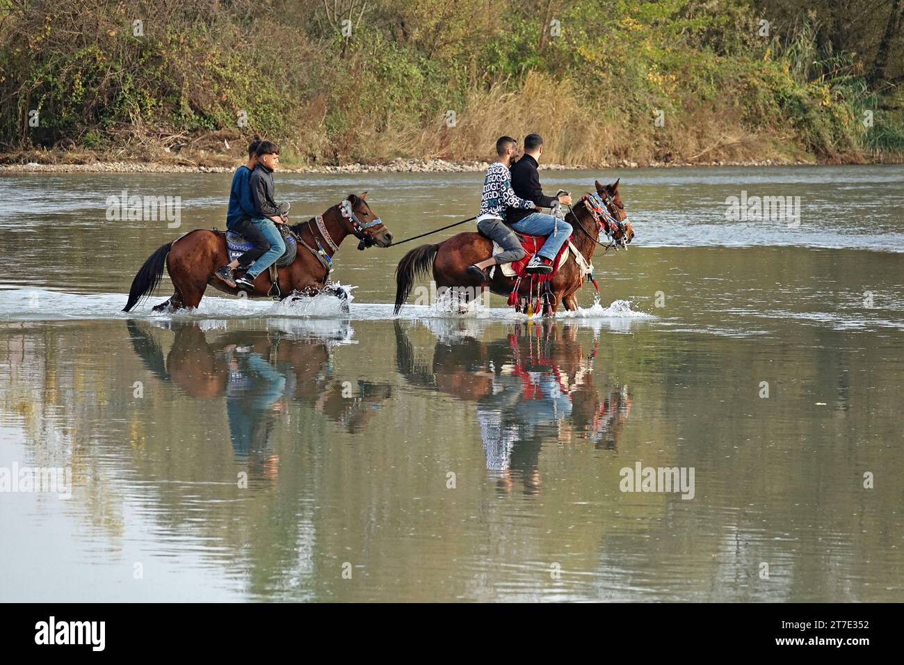 Vetores de Homem Montando Seu País De Cruzeiro A Cavalo Pulando Cerca E  Hedge Vitoriano De 1890 e mais imagens de Cavalo - Família do cavalo -  iStock