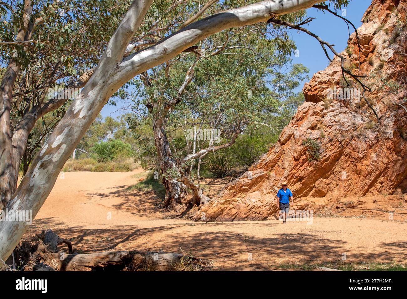 Jessie Gap, East MacDonnell Ranges Foto de stock