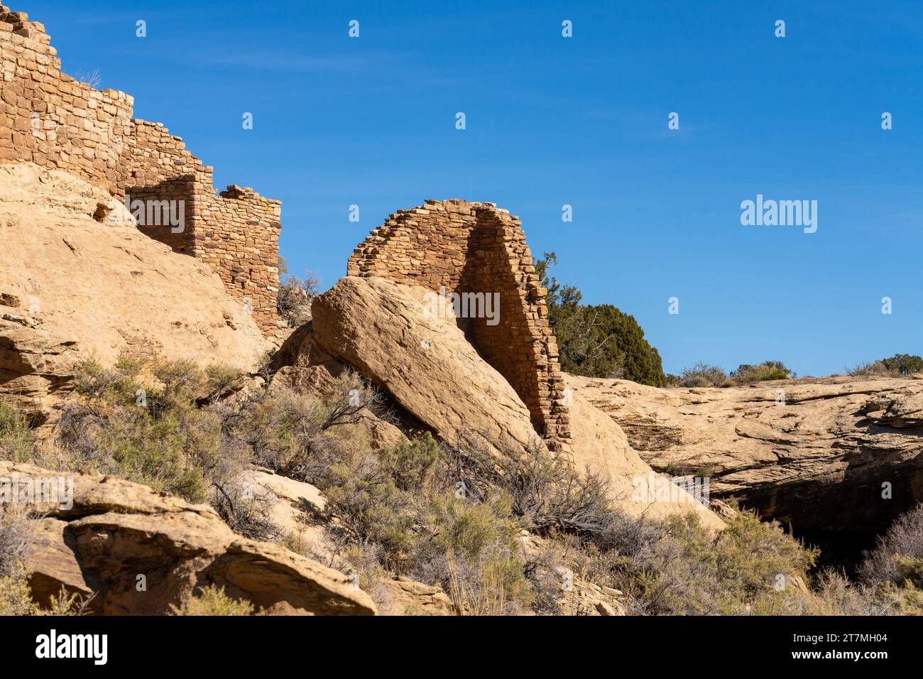 Oasisamérica fotografías e imágenes de alta resolución - Alamy