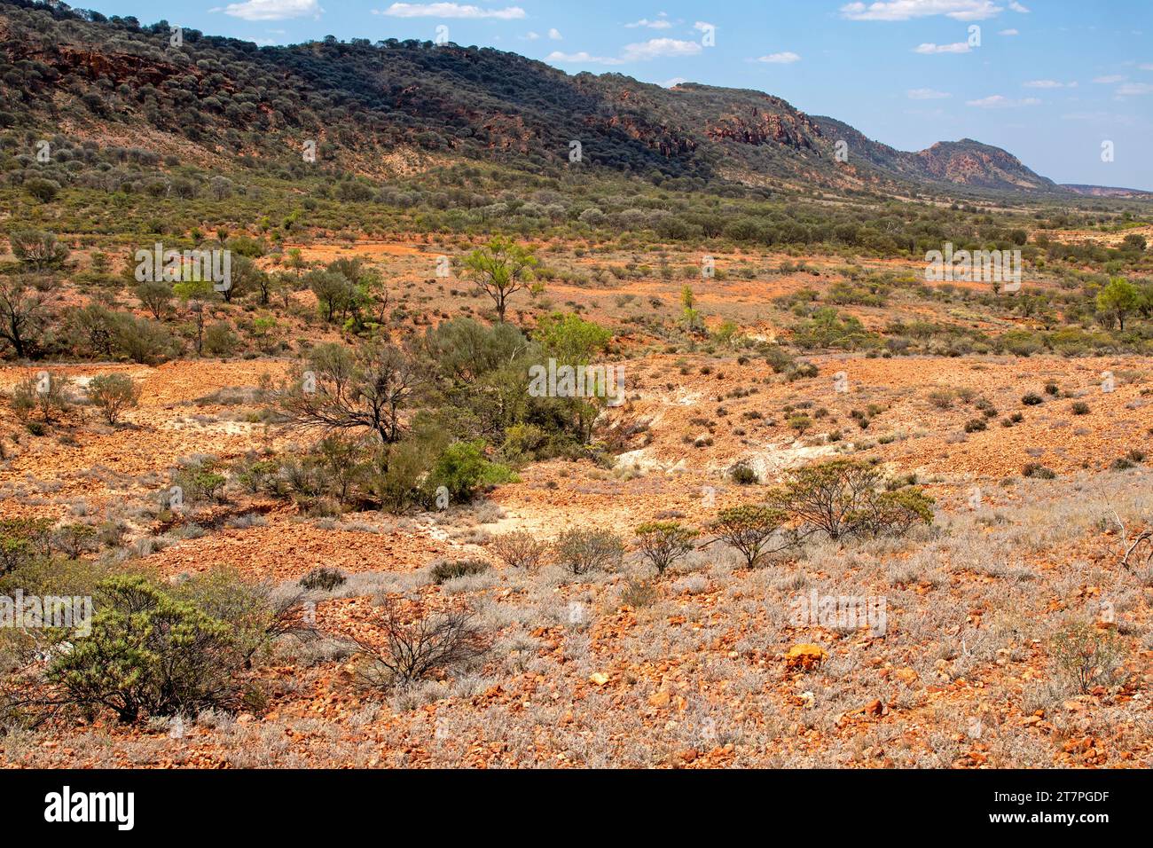 East MacDonnell Ranges Foto de stock