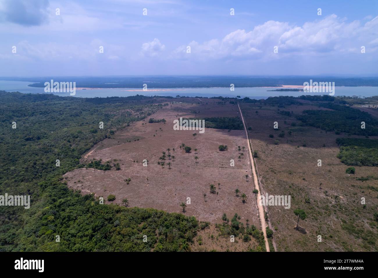 Vista aérea de deforestación de la selva amazónica para abrir tierras para pastos ganaderos, carretera Transamazónica, Para, Brasil. Medio ambiente, ecología, conservación. Foto de stock