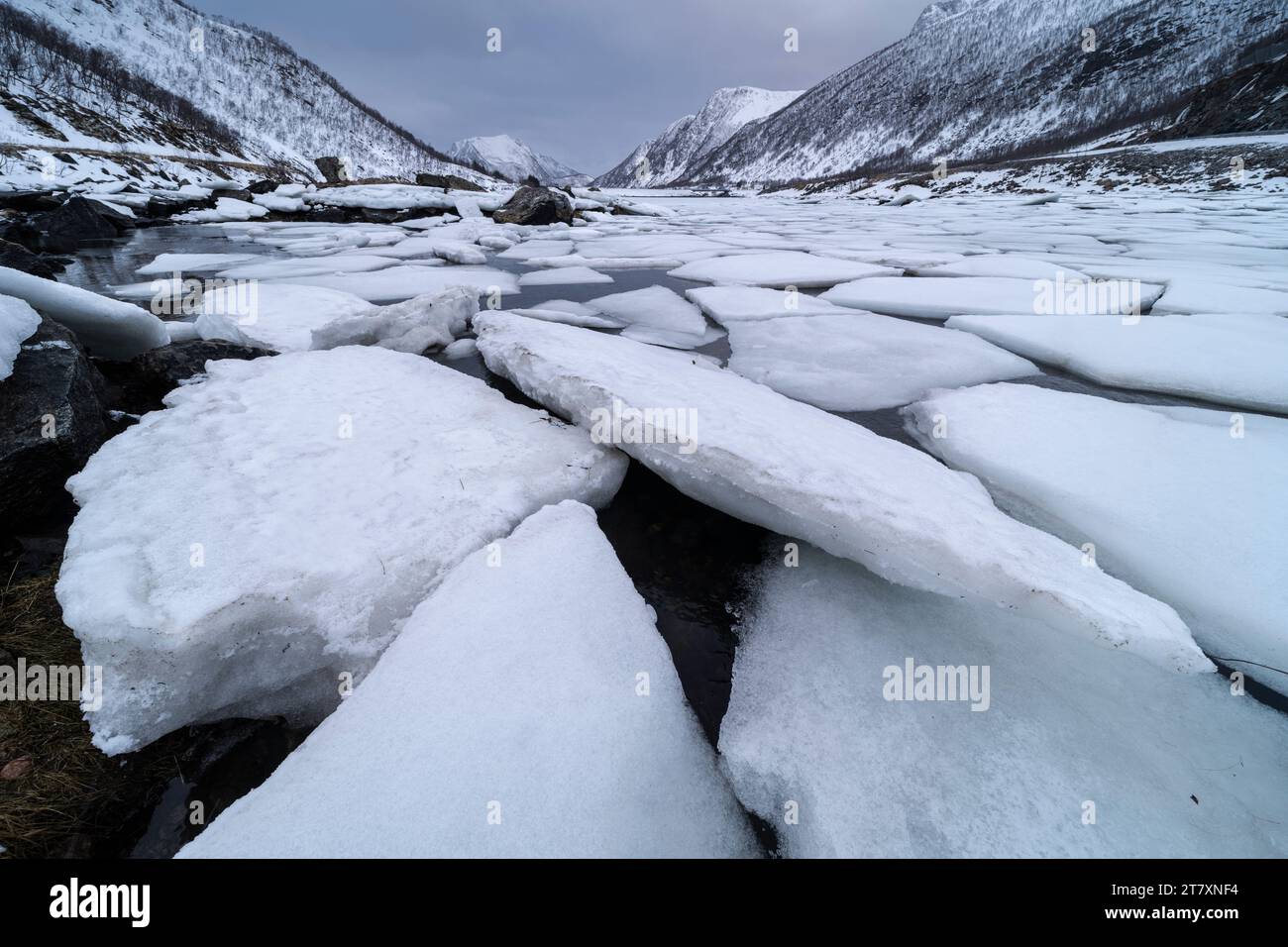 Bloques de hielo en Sifjordbotn, Senja, Troms og Finnmark, Noruega, Escandinavia, Europa Foto de stock