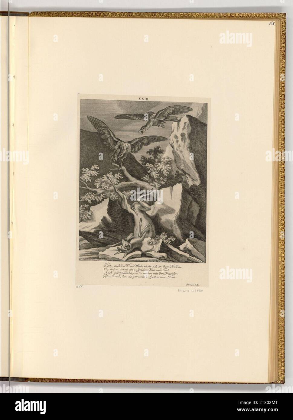 Johann Elias Ridinger Dead Gemse con águilas. grabado 1778 , 1778 Foto de stock