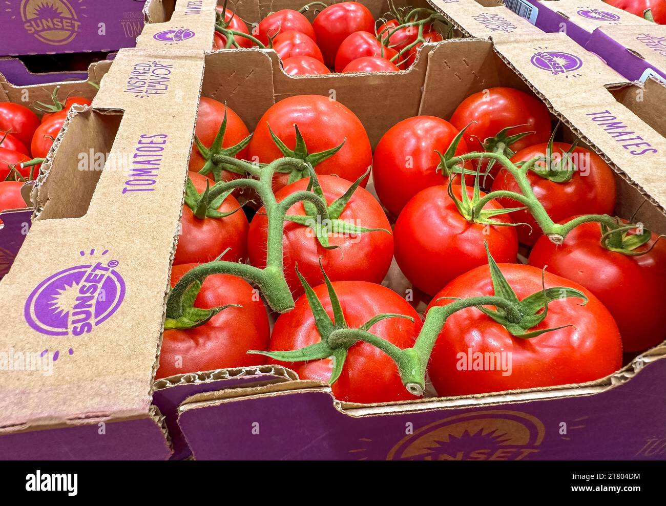 Mostrar tomates fotografías e imágenes de alta resolución Alamy