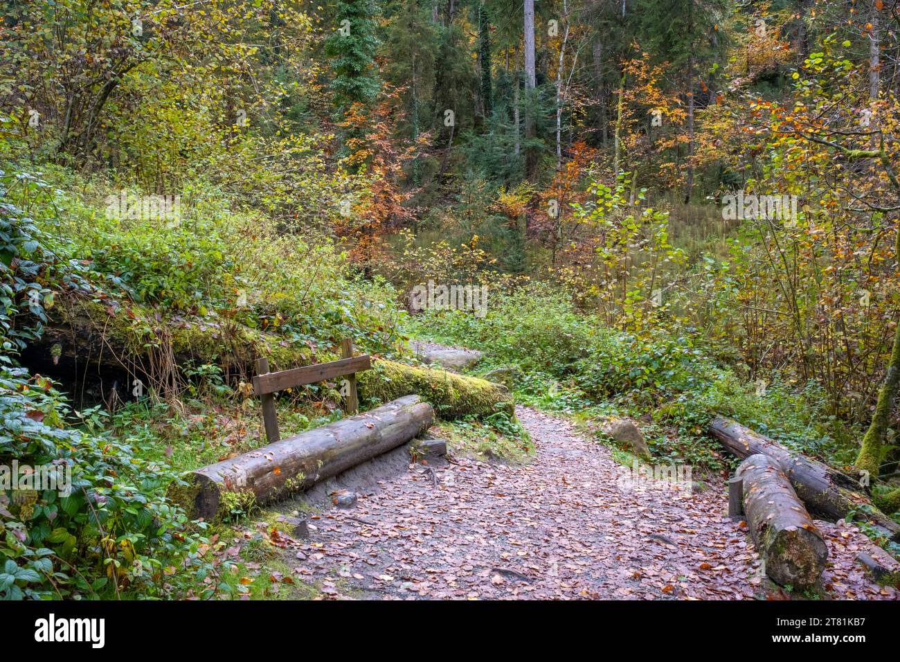Caminar por el área de recreación local Hausbachklamm cerca de Weiler im Allgaeu en Alemania Foto de stock