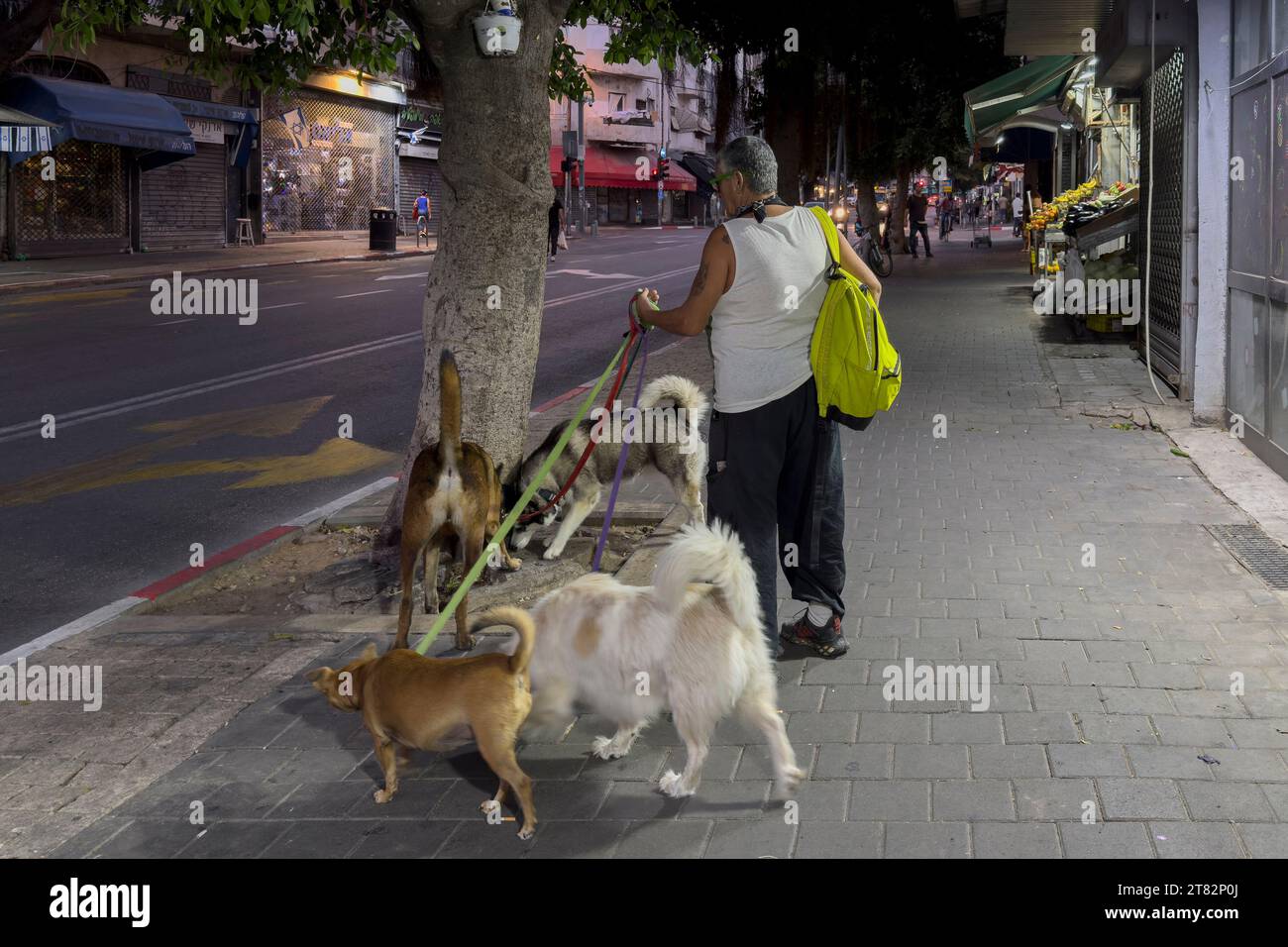 Una mujer pasea perros en la calle Ha Aliya al sur de Tel aviv Israel Foto de stock