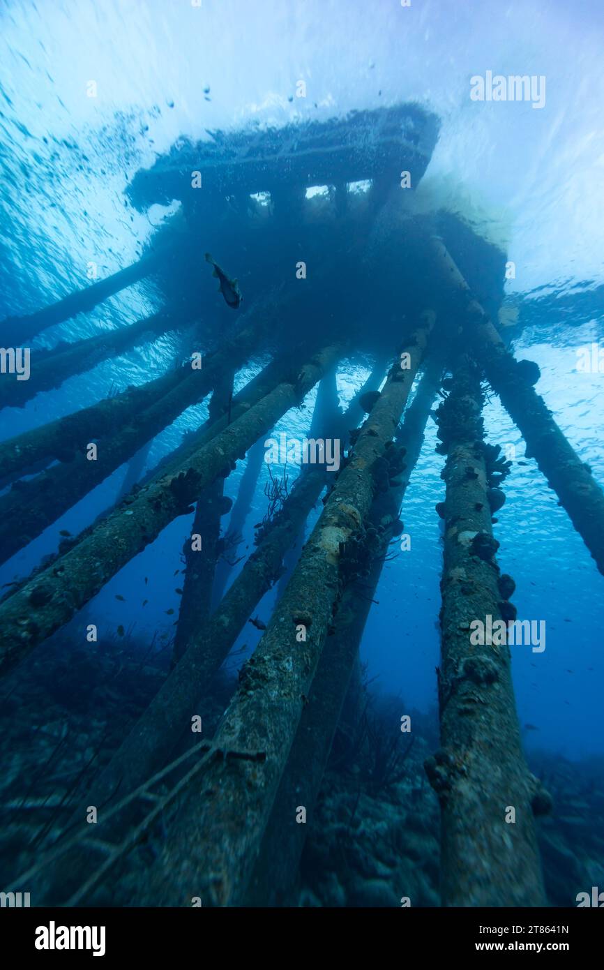 Los pilotes de muelle incrustados con vida marina se extienden desde un muelle de sal hasta el fondo del océano Foto de stock