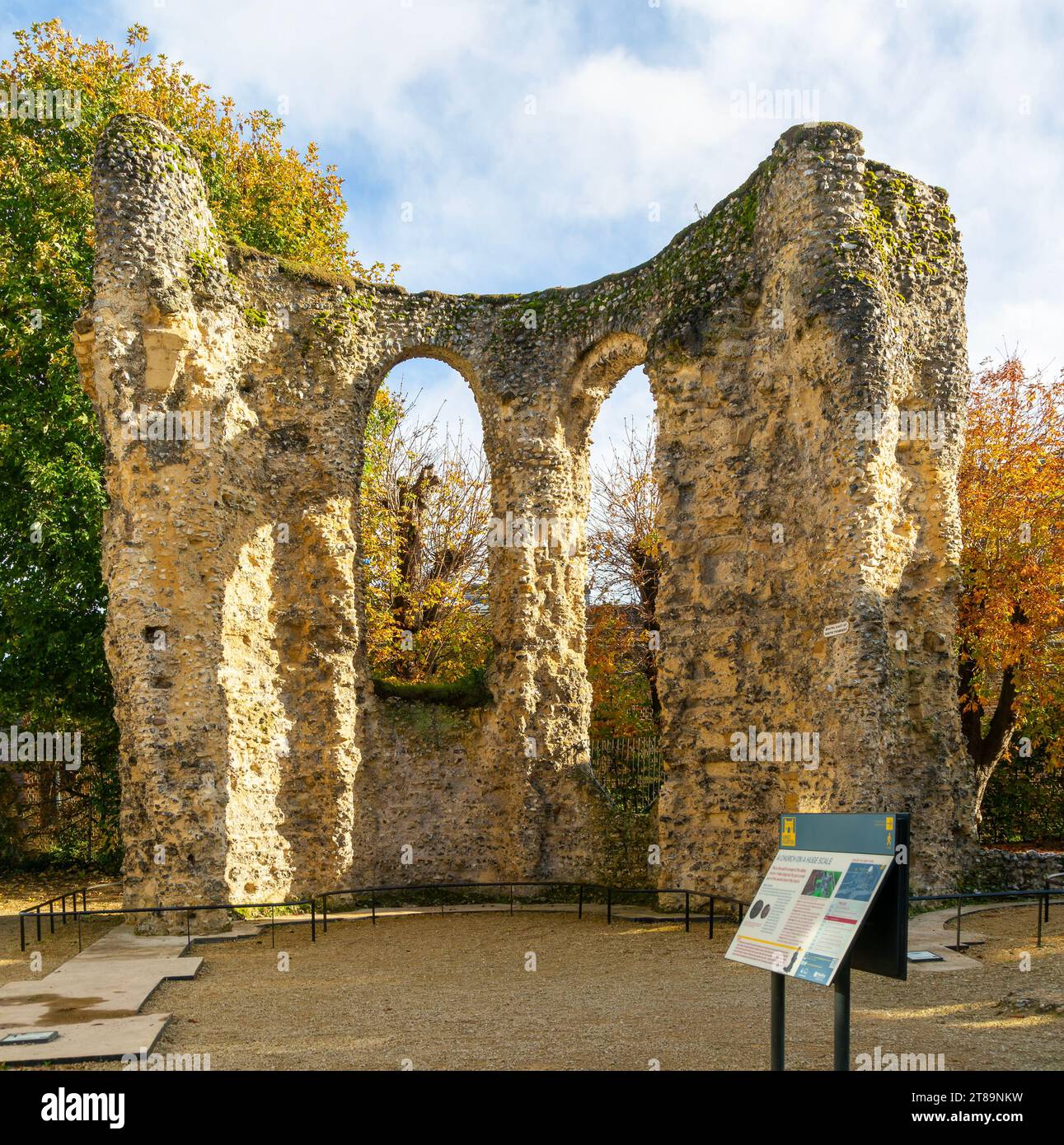 Ruinas de la Abadía, Reading, Berkshire, Inglaterra, Reino Unido Foto de stock