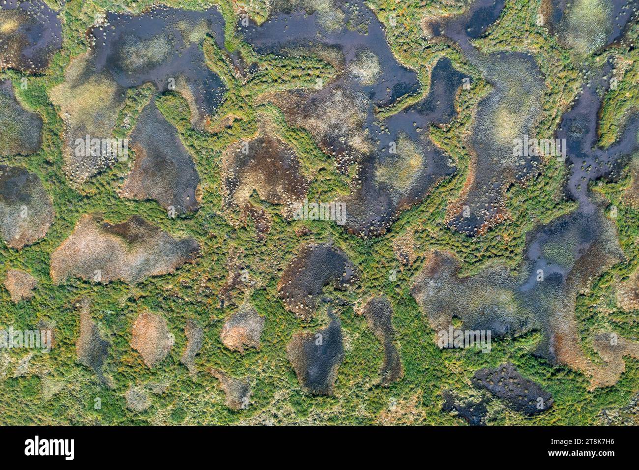 Bog huecos, vista aérea, Finlandia, Laponia, Kaamanen Foto de stock