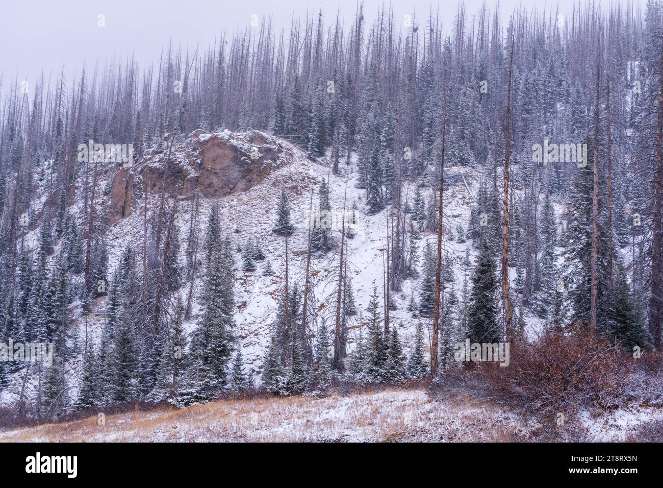 La impresionante vista de la cumbre nevada de Wolf Creek Pass en Colorado Foto de stock