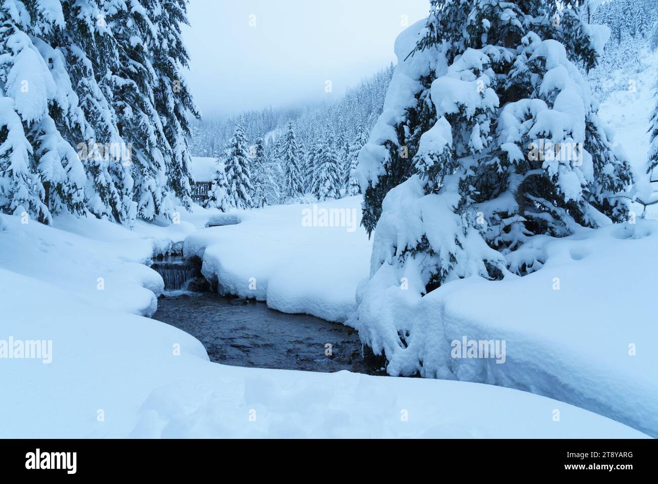 El paisaje de montaña de invierno Foto de stock