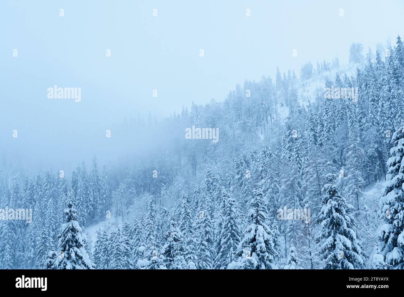 El paisaje de montaña de invierno Foto de stock