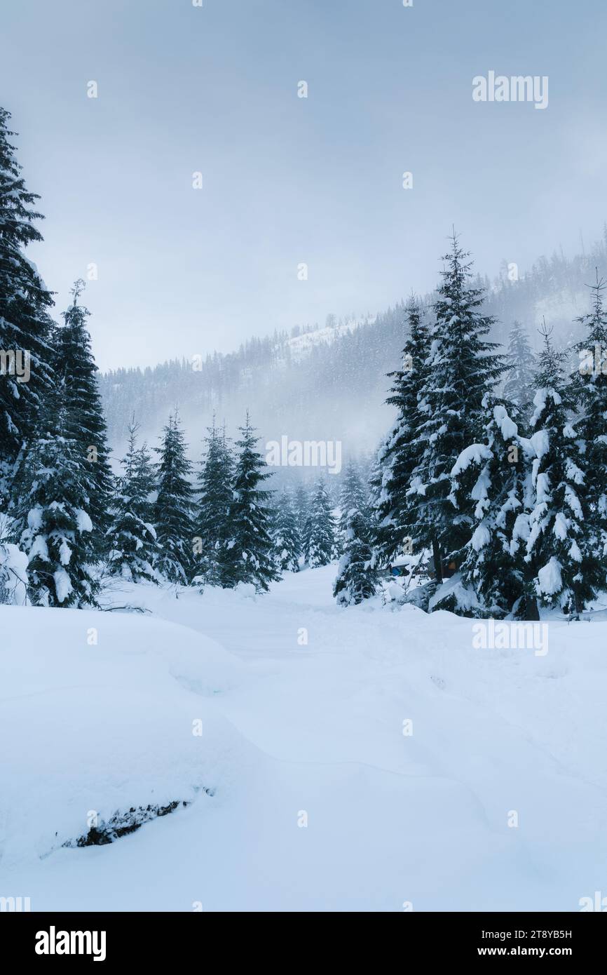 El paisaje de montaña de invierno Foto de stock