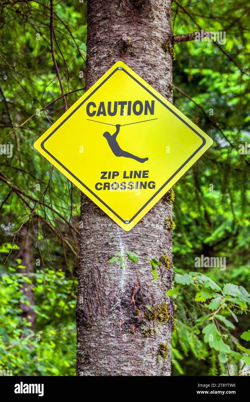 Signo de cruce de línea zip clavado en un árbol en un bosque, Oregon Foto de stock