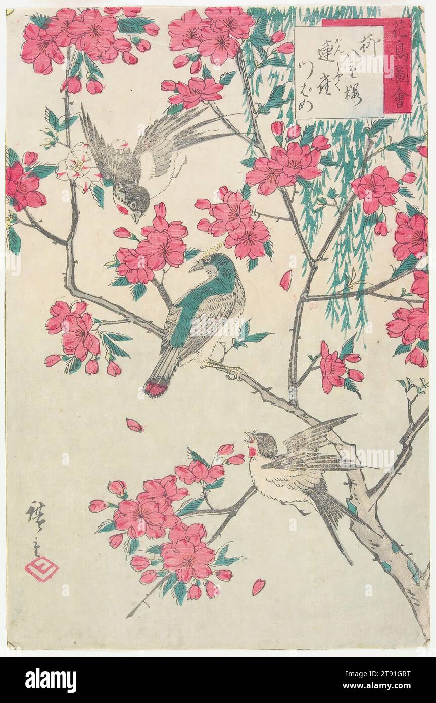 Willow, Flores de cerezo, Gorriones y Golondrina, años 1870, Utagawa Hiroshige III, japonés, 1843-1894, 13 1/16 x 8 5/8 in. (33,1 x 21,9 cm) (imagen, hoja), impresión en Woodblock (nishiki-e); tinta y color sobre papel, Japón, siglo XIX Foto de stock