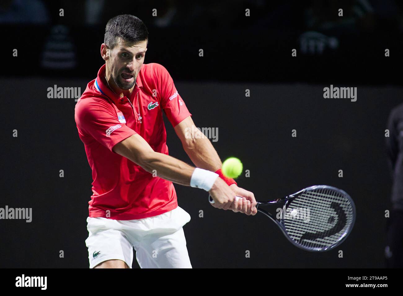 Novak Djokovic de Serbia en el partido 2 durante las finales de la Copa Davis 2023, cuartos de final de tenis entre Serbia y Gran Bretaña el 23 de noviembre de 2023 en el Pabellón Martin Carpena en Málaga, España Foto de stock