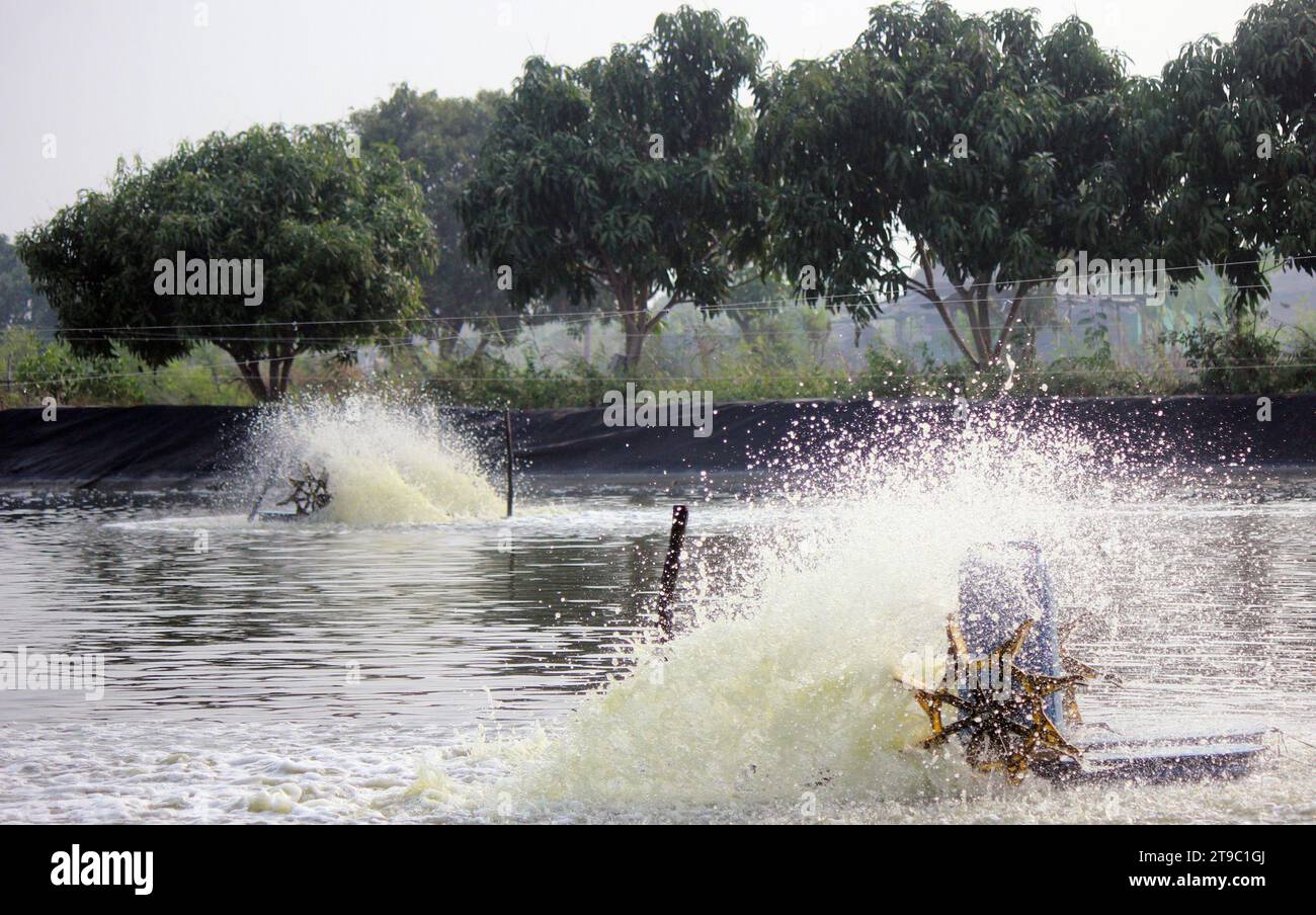 Aireador de rueda de pádel salpicando agua en la agricultura intensiva de camarones. Foto de stock