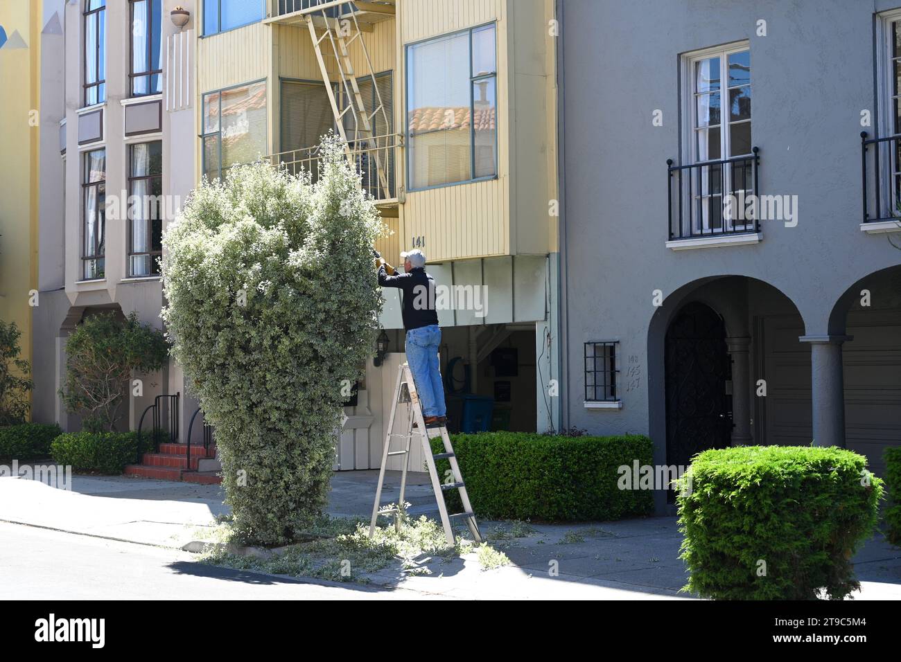 San FRANCISCO, CA, EE.UU. - 25 de julio de 2023: Un hombre recorta los arbustos cerca de la casa en San Francisco. Foto de stock