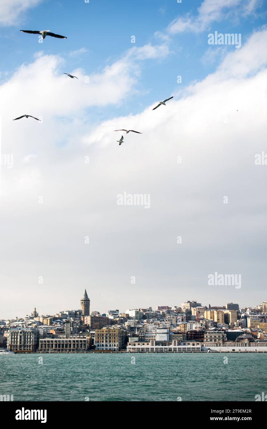 Gaviotas volando en el Bósforo en Estambul sky Foto de stock